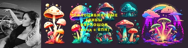 прущие грибы Арсеньев