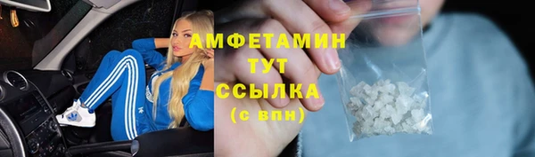 прущие грибы Арсеньев