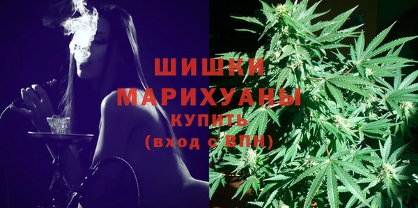 прущие грибы Арсеньев
