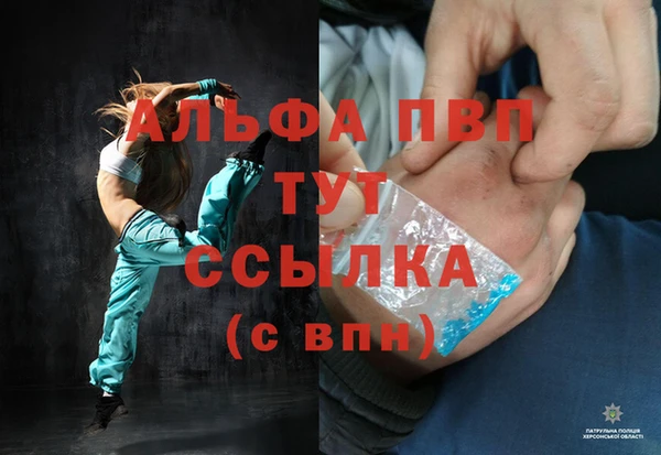 прущие грибы Арсеньев
