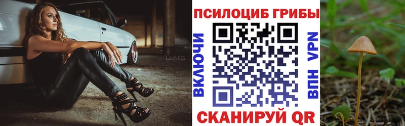 Галлюциногенные грибы прущие грибы Михайловск